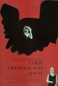 Сова з'являється вдень
