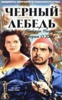 Чорний лебідь
