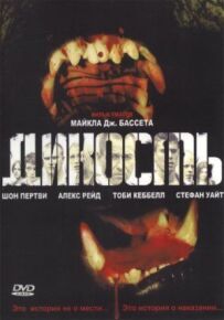 Дикість