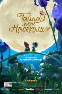 Таємне життя комах