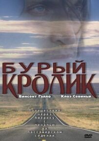 Бурий кролик