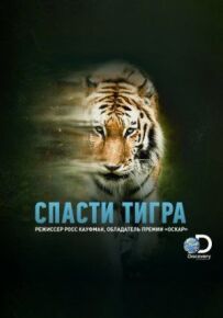 Врятувати тигра