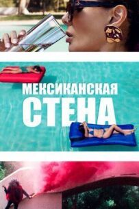 Мексиканська стіна