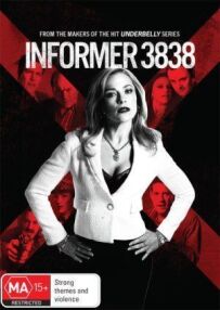 Інформатор 3838
