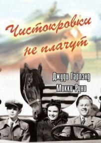 Чистокровки не плачуть