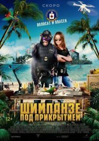 Шимпанзе під прикриттям