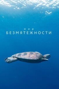 Світ безтурботності