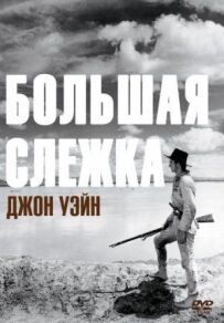 Велике стеження