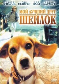 Мій найкращий друг Шейлок