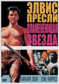 Полум'яна зірка