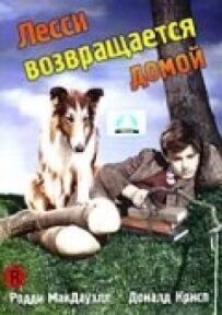 Лессі повертається додому