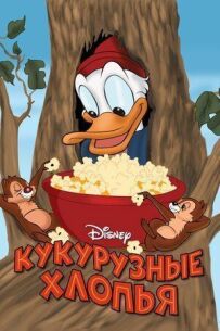 Кукурудзяні пластівці