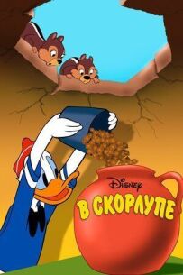 У шкаралупі