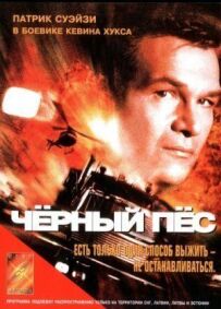 Чорний пес