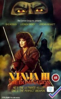 Ніндзя III: Панування