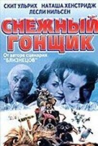 Сніговий гонщик