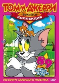 За що покарали кота