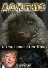 Доміно