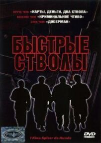 Швидкі стволи