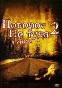 Неправильний поворот 2
