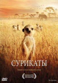 Сурікати