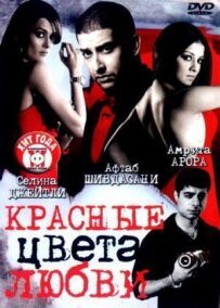 Червоні кольори кохання