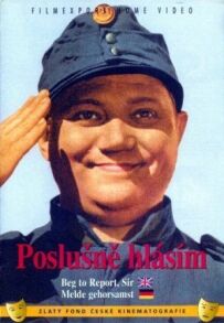 Швейк на фронті