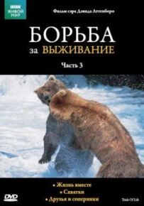 BBC: Боротьба за виживання