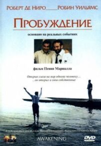 Пробудження