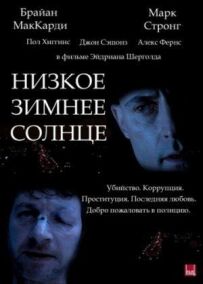Низьке зимове сонце