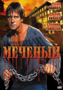 Мічений