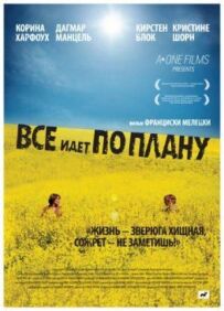 Все йде за планом