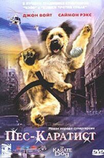 Собака - каратист
