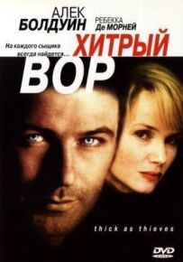 Хитрий злодій