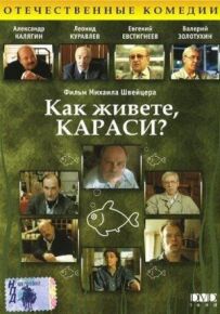 Як справи, карасі?