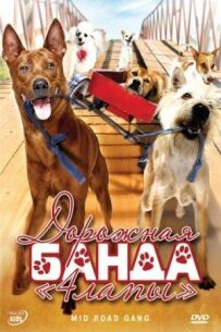 Дорожня банда "4 лапи"