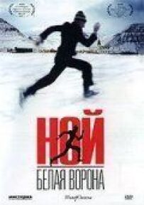 Ной - біла ворона