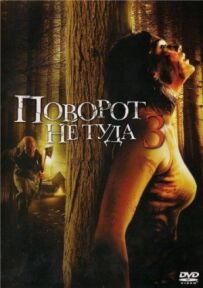 Неправильний поворот 3