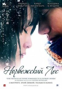 Норвезький ліс