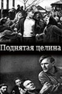 Піднята цілина