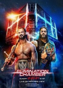 WWE Камера ликвидации