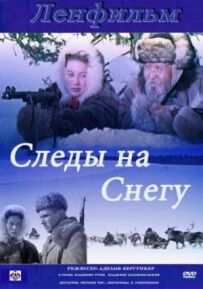 Сліди на снігу
