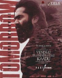 Ліс був випалений