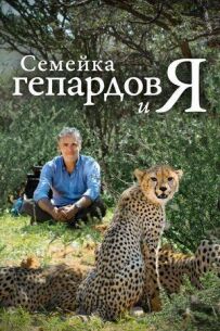 BBC. Семейка гепардов и я