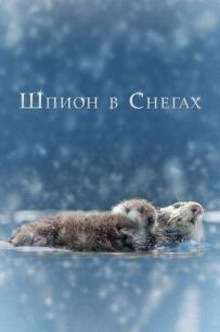 Шпигун у снігах