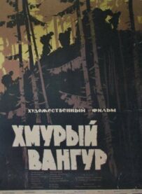 Похмурий Вангур