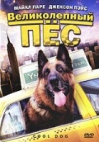Чудовий пес