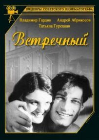 Зустрічний