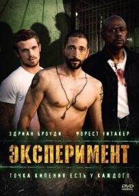 Експеримент