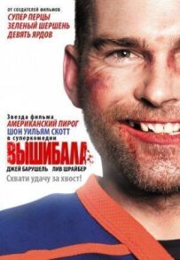 Вишибала